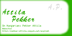 attila pekker business card